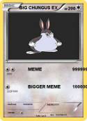 BIG CHUNGUS EX