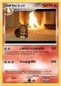 chat feu 2