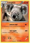 koalagitzoo
