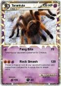 Tarantula