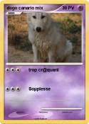 dogo canario
