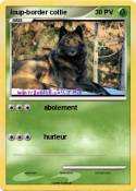loup-border col