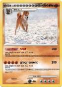 shiba