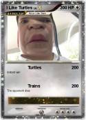 I Like Turtles