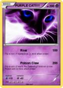 PURPLE CAT!!!!!