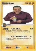 Flex seal guy