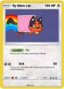 fly litten cat
