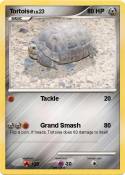 Tortoise