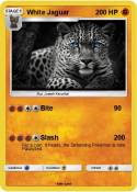 White Jaguar