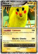 Pikacat