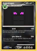 Enderdragon