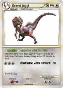 Grand jaggi