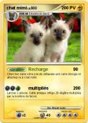 chat mimi