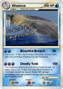 Whalerus