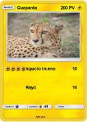 Guepardo