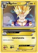 gohan