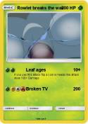 Rowlet breaks