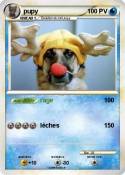 pupy