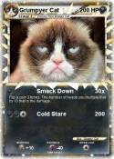 Grumpyer Cat