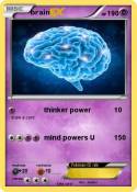 brain