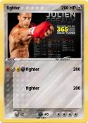 fighter