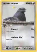 pin head pidgeo