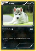 Husky