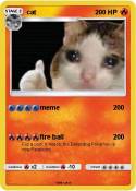 cat