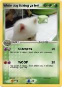 White dog licki