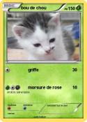 bou de chou