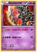 PALADIN NOIR