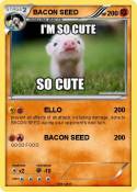 BACON SEED