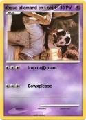 dogue allemand