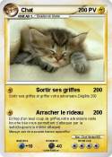 Chat