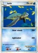 turtle