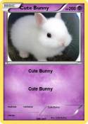 Cute Bunny