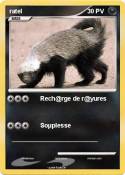 ratel