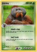monkey