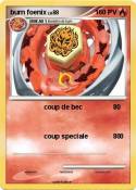 burn foenix