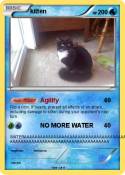 kitten