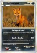 FoxToutCourt