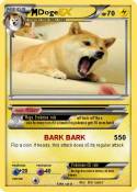 Doge