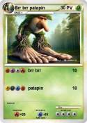 Brr brr patapin