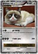grumpy cat