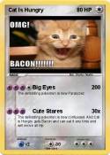 Cat Is Hungry