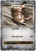 chiwawa