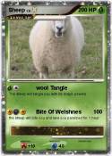 Sheep