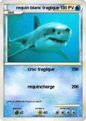 requin blanc