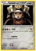 samurai cat