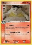 fat cat